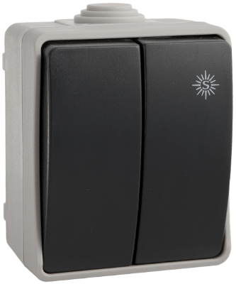 Double commutateur / interrupteur étanche 10AX 250V~. IP54. De surface.